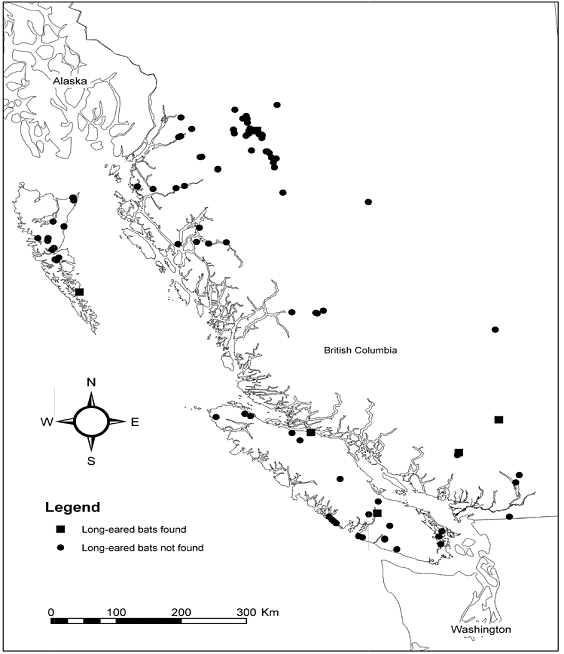 Figure 4. Fifty-three locations sampled by Firman &lt;em&gt;et al.&lt;/em&gt; (1993) during a coast-wide survey for Keen’s long-eared bat (Myotis keenii), and 46 sites sampled by MacKay &lt;em&gt;et al.&lt;/em&gt; (2000) during a survey of the Skeena Management District. Squares= sites where either the western long-eared bat (M. evotis) or M. keenii were captured; circles= sites where no long-eared Myotis species were captured.