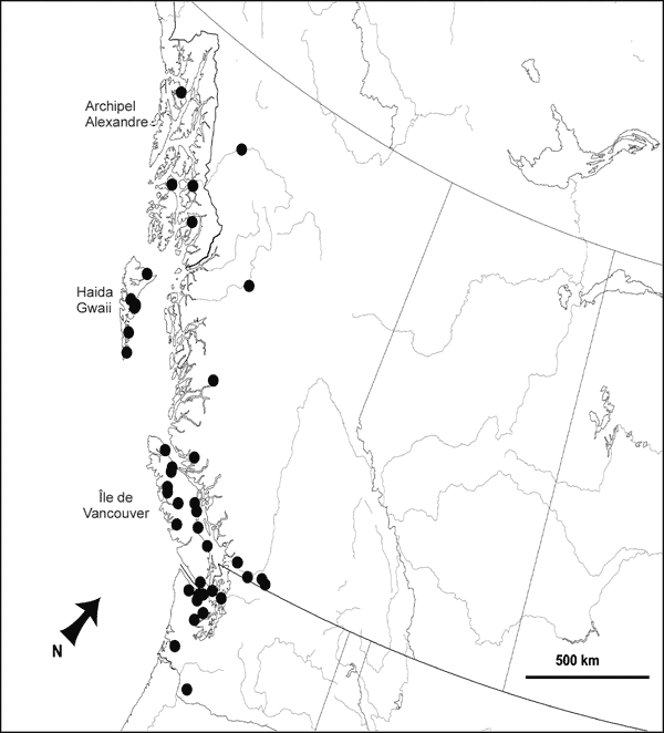 Figure 3.  Répartition de la chauve-souris de Keen (Myotis keenii) en Amérique du Nord. Les localités ont été déterminées d’après des spécimens de musée capturés dans le passé identifiés au moyen de traits morphométriques, des spécimens de référence récents ou des animaux capturés et identifiés par une analyse de l’ADNmt faite sur des échantillons de tissus. La flèche indique le nord magnétique.