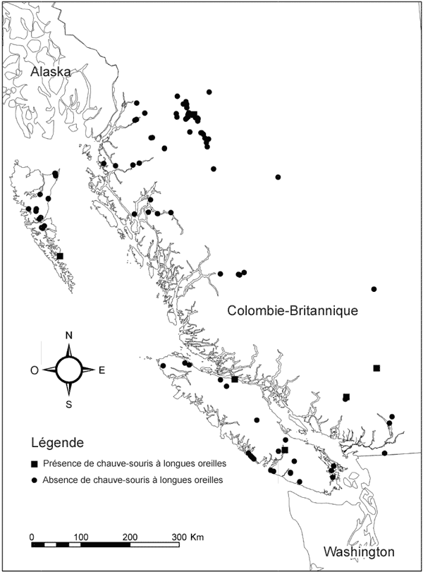 Figure 4. Les cinquante-trois endroits échantillonnés par Firman et al. (1993) durant un relevé de la chauve-souris de Keen (Myotis keenii) sur toute la côte, et les 46 endroits échantillonnés par MacKay et al. (2000) durant un relevé dans le Skeena Management District. Carrés : sites de capture de M. evotis ou de M. keenii; cercles : sites où aucune espèce de Myotis à longues oreilles n’a été capturée.