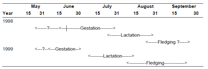 Figure 5. Reproductive chronology for Keen’s long-eared bat at Gandl K’in GwaayaayBurles (2001). See long description below.