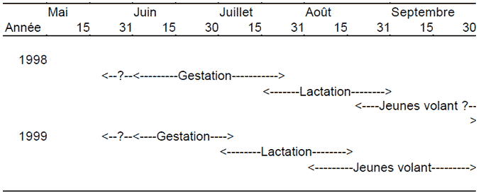 Figure 5. Chronologie de reproduction de la chauve-souris de Keen (Myotis keenii) à Gandl K’in Gwaayaay, Haida Gwaii, en 1998 et en 1999. D’après Burles (2001). Voir longue description ci-dessous.