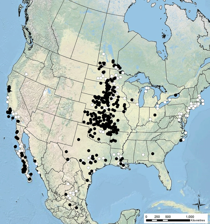 Image de la carte (voir longue description ci-dessous)