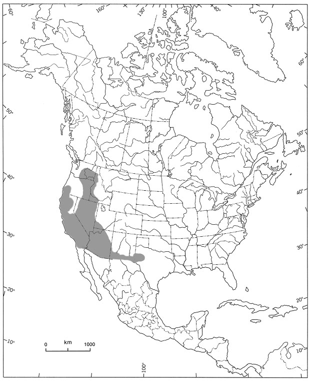 Figure 3.  Répartition de l’Uropappus lindleyi en Amérique du Nord (d’après USDA, NRCS, 2007)