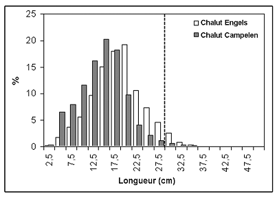 Figure 7. Distribution des longueurs des prises de grenadier berglax dans le cadre des relevés automnaux des plateaux du Labrador et du nord-est de Terre-Neuve ainsi que du Grand Banc. La longueur correspond à la longueur de nageoire pré-anale. La distribution des longueurs est illustrée séparément pour les prises au chalut Engels (utilisé avant 1994) et les prises au chalut Campelen (utilisé depuis 1995). La ligne pointillée indique la longueur approximative à la maturité chez les femelles.