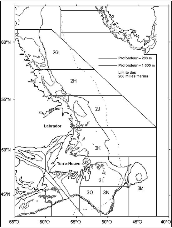 Figure 4. Divisions de l’Organisation des pêches de l’Atlantique Nord-Ouest (OPANO) mentionnées dans le présent rapport