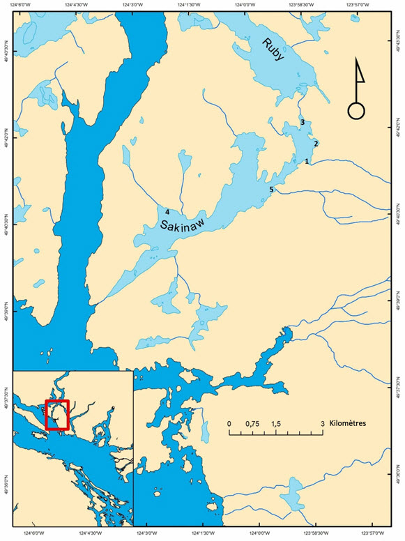 Le lac Sakinaw, ses affluents et les frayères littorales