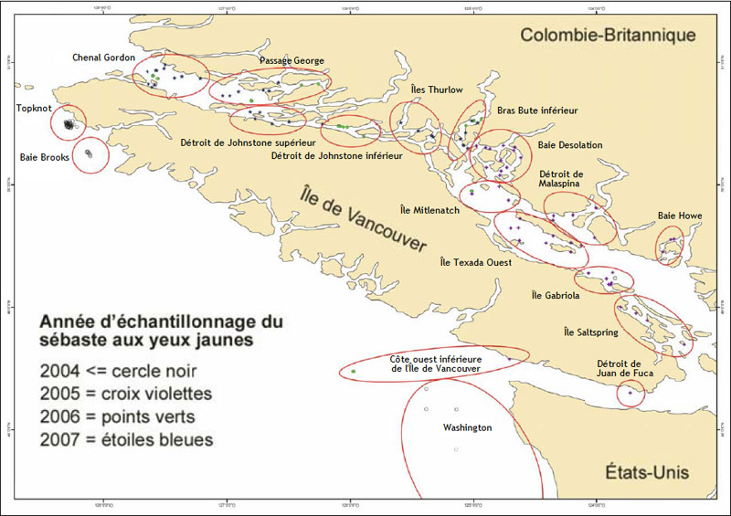 Carte montrant les lieux d’échantillonnages du sébaste aux yeux jaunes (voir description longue ci-dessous).