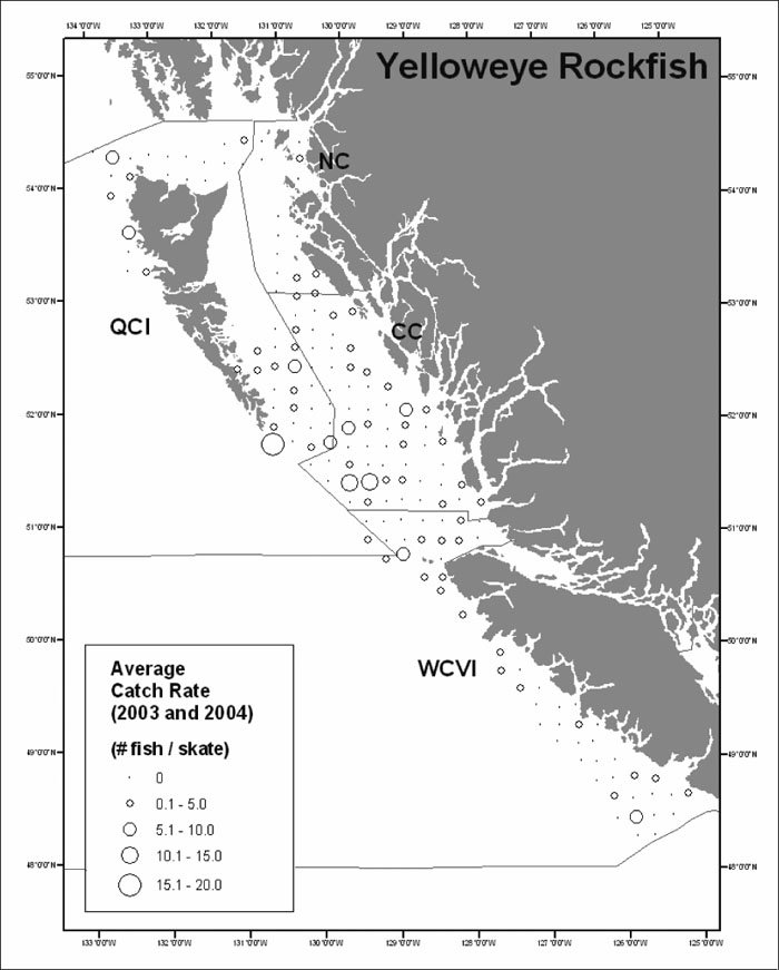 Map showing the spatial distribution of Yelloweye Rockfish catch rates (see long description below).