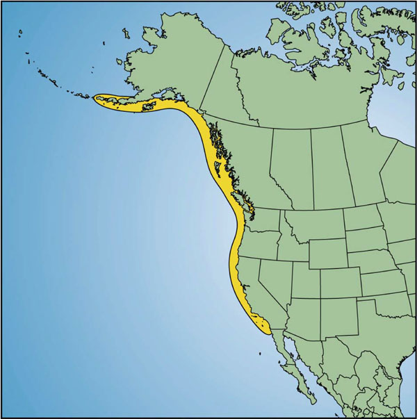Map showing the global distribution of Yelloweye Rockfish.