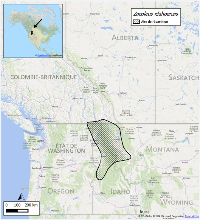 Répartition mondiale de la limace gainée