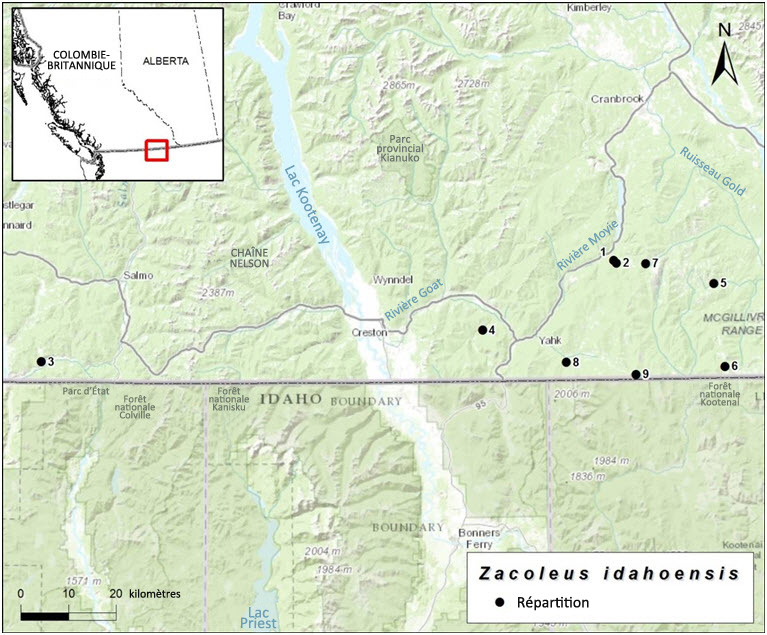Répartition de la limace gainée au Canada.
