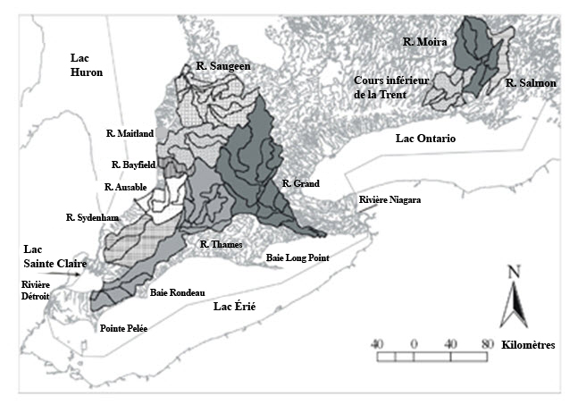 Carte du sud de l'Ontario