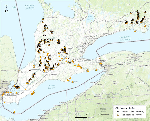 map of southern Ontario