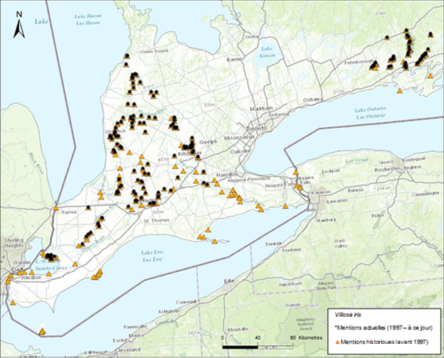 Carte du sud de l'Ontario