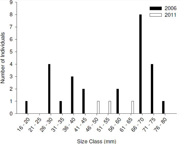 bar chart