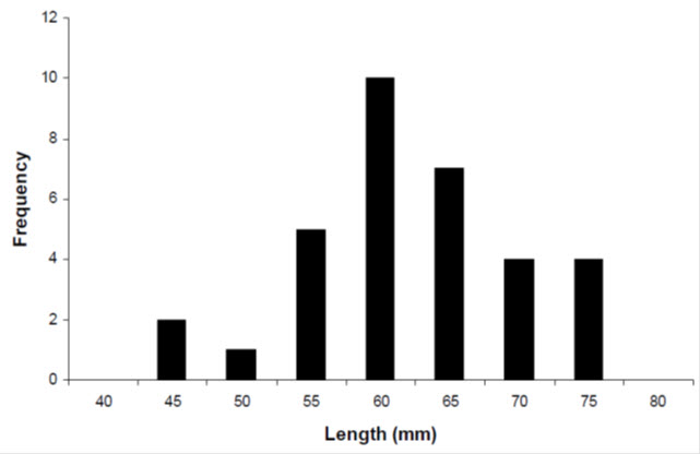 bar chart