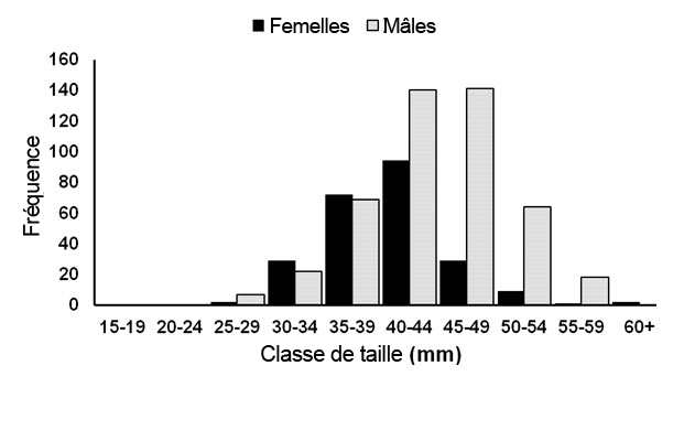 graphique à barres