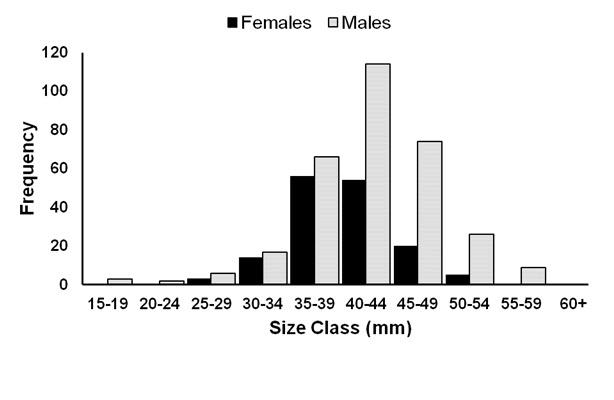 bar chart