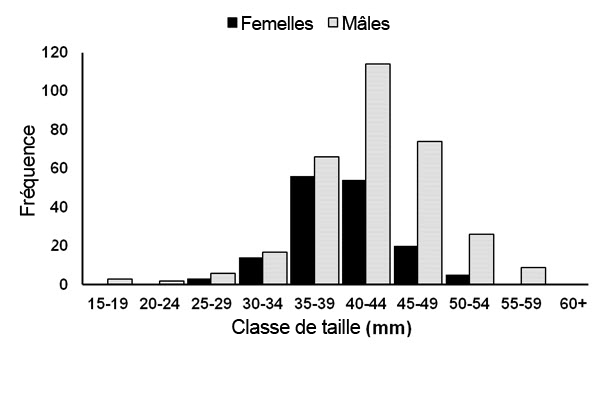 graphique à barres