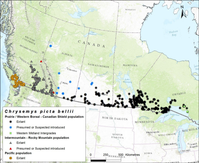 Map of distribution (see long description below)