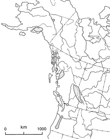 Figure 4. Aire de répartition mondiale du Nephroma occultum.
