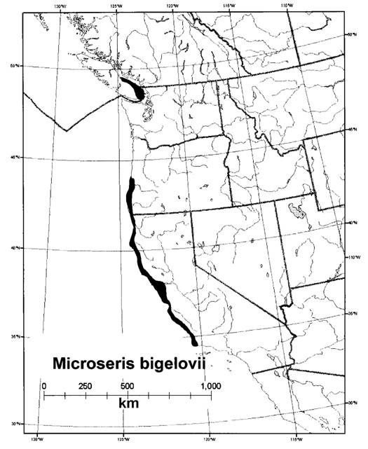 Global distribution of Microseris bigelovii