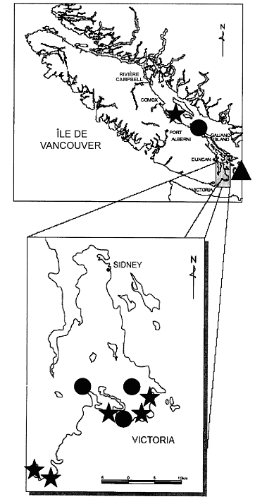 Répartition des populations existantes et disparues de Microseris bigelovii au Canada et dans les secteurs adjacents dans l’État de Washington.