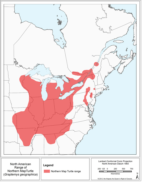 Northern map turtle (Graptemys geographica) proposed management plan