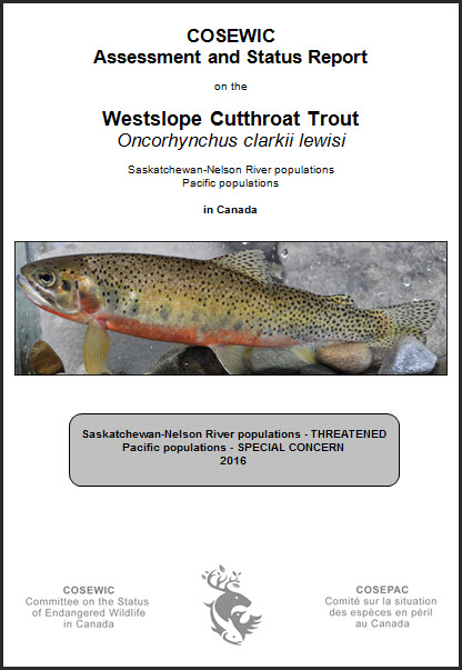 COSEWIC Assessment and Status Report on the Westslope Cutthroat Trout