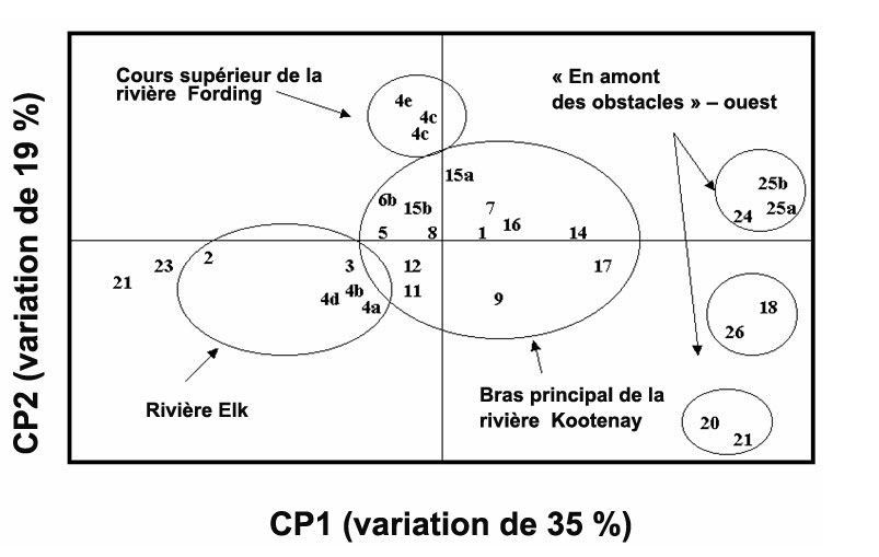 Analyse des composantes principales (ACP) de  la parenté génétique entre les populations de truites fardées