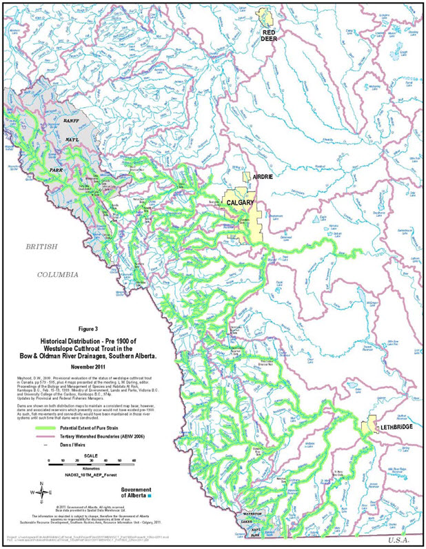 Historical distribution pre-1900 of Westslope Cutthroat Trout in  the Bow and Oldman River drainages