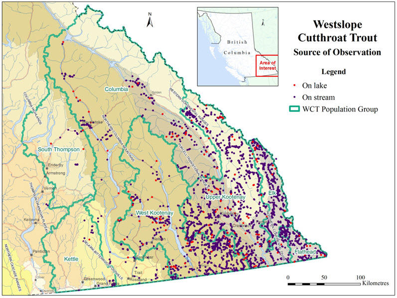 Distribution of  WCT observation data collected from lakes and streams