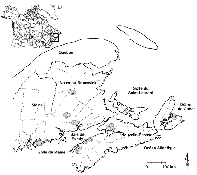 Figure 7. Aire de répartition mondiale de l’Isoetes prototypus.