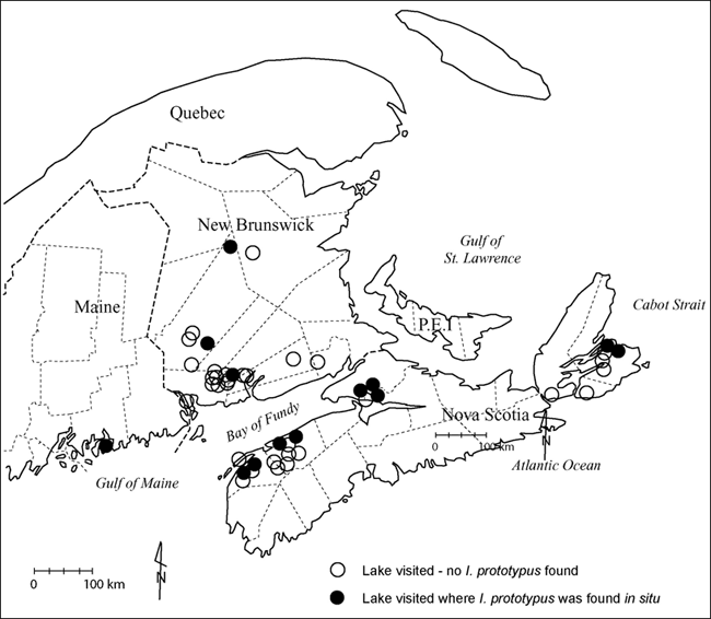 Figure 8. Location of lakes surveyed during 2003 and 2004I.prototypusfieldwork.