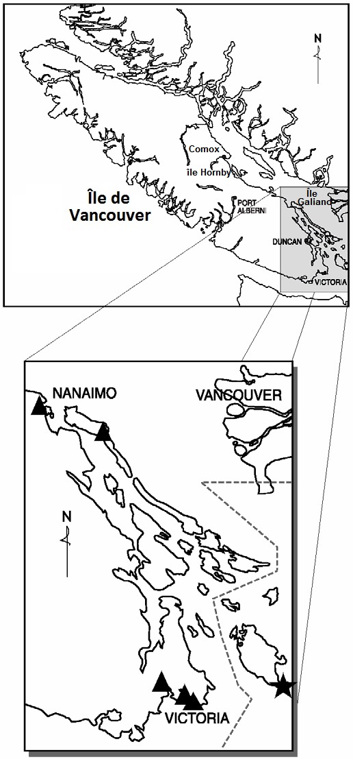 Répartition mondiale et canadienne approximative de l'Euchloe ausonides insulanus (voir description longue ci-dessous).