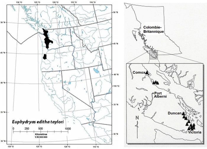 Répartition mondiale et canadienne de l'Euphydryas editha taylori (voir description longue ci-dessous).