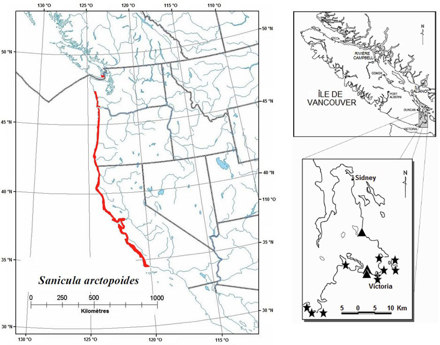 Répartition mondiale et canadienne du Sanicula arctopoides (voir description longue ci-dessous).