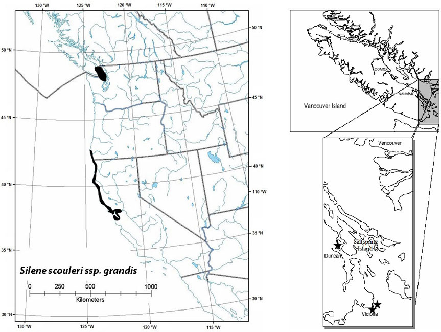 Figure 5. Global and Canadian distribution of coastal Scouler’s catchfly.