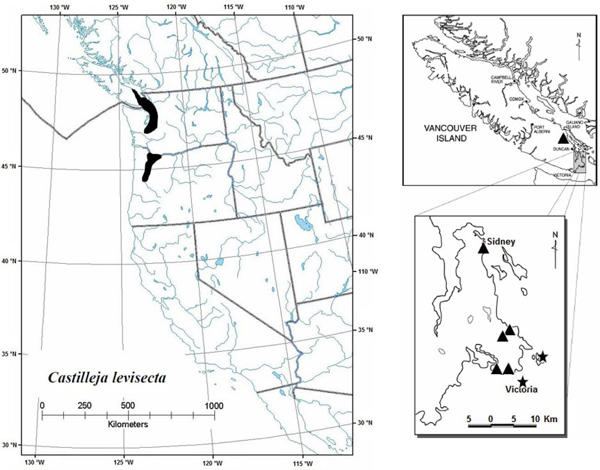 Figure 6. Global and Canadian distribution of golden paintbrush (see long description below).