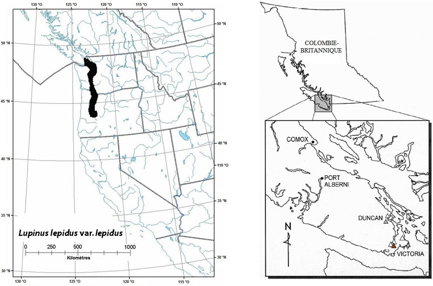 Répartition mondiale et canadienne du Lupinus lepidus var. lepidus (voir description longue ci-dessous).