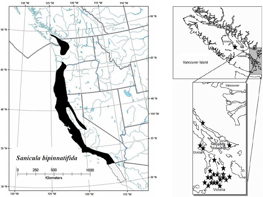 Figure 8. Global and Canadian distribution of purple sanicle (see long description below).