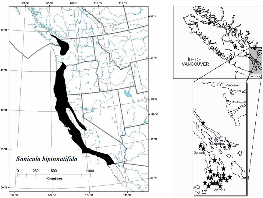 Répartition mondiale et canadienne du Sanicula bipinnatifida (voir description longue ci-dessous).