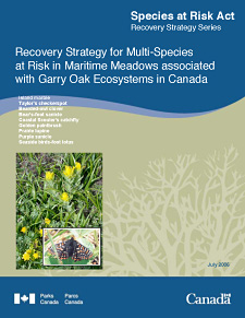 Species at Risk Act Recovery Strategy Series. Recovery Strategy for Multi-Species at Risk in Maritime Meadows associated with Garry Oak Ecosystems in Canada