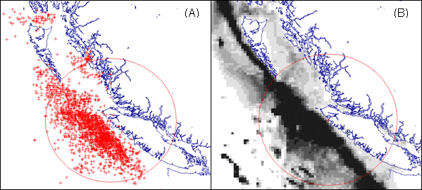 Georeferenced fin whale kills (crosses, panel A) by whalers operating from British Columbia shore stations between 1907 and 1967; and predictions of critical habitat (shaded from low (white) to high (black) probability, panel B) based on a model led relationships with oceanographic conditions (data from Nichol et al.(2002); figures from Gregr and Trites (2001))