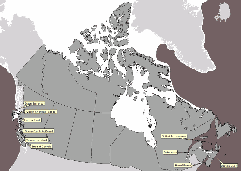  Approximate range of fin whales in and around Canadian waters