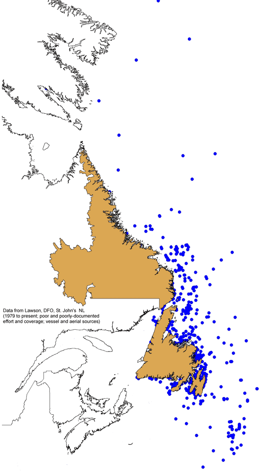 Fin whale sightings in or near Newfoundlandand Labrador, since 1979