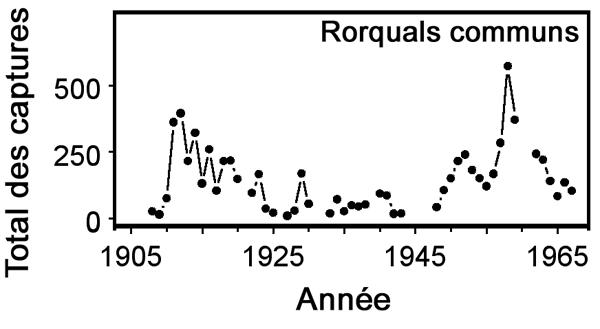 Figure 7.  Nombre annuel de rorquals communs débarqués aux sites baleinières de la Colombie-Britannique (données tirées de Gregr et al., 2000)au XXe siècle
