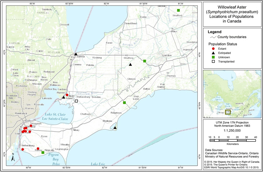 Map of Willowleaf Aster Populations