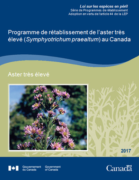 Programme de rétablissement de la rainette faux-grillon de l'ouest