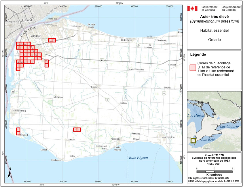Carrés du quadrillage renfermant l'habitat essentiel